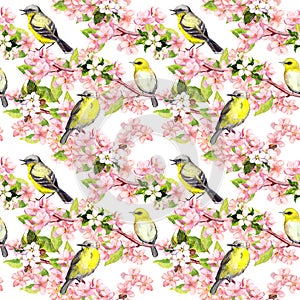 Cherry blossom - apple, sakura flowers, birds. Floral seamless pattern. Watercolor