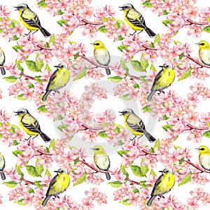 Cherry blossom - apple, sakura flowers, cute birds. Floral seamless background. Watercolor
