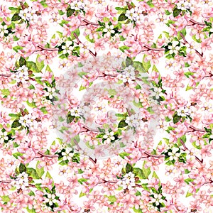 Cherry blossom - apple, sakura flowers . Floral seamless pattern. Watercolor