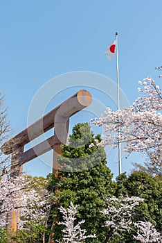 Cherry blossom around Sotobori Park, Tokyo, Japan.