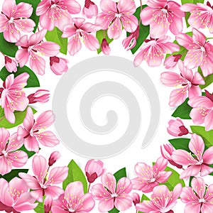 Cherry blossom background. Pink spring flowers frame. Cartoon style vector illustration