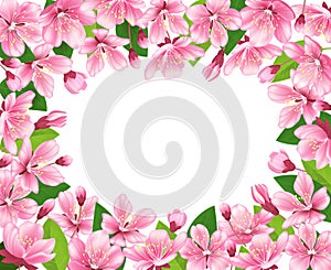 Cherry blossom background. Pink spring flowers frame. Cartoon style vector illustration