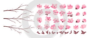 Cherry blossom blooming branches sakura Asian set for compose oriental twigs flowers isolated