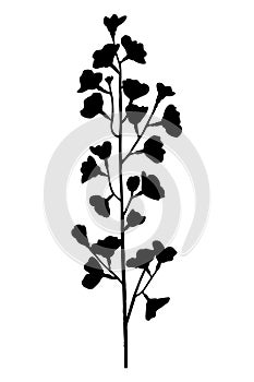 Cherry blossom branch black silhouette