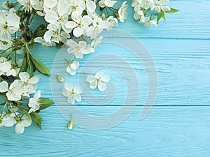 Cherry blossom branch card border april romance on a blue wooden background