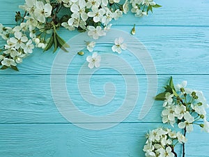 Cherry blossom branch card border on a blue wooden background