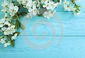 Cherry blossom branch card border season decoration romance on a blue wooden background