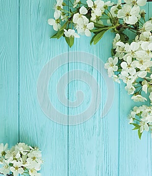 Cherry blossom branch card border season romance on a blue wooden background