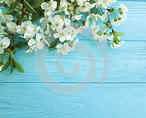 Cherry blossom branch card border spring season decoration romance on a blue wooden background