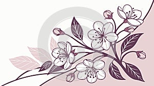 Cherry Blossom Branch Corner, Spring Floral Vector Graphic