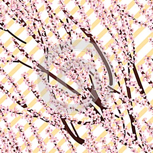 Cherry blossom branch diagonal
