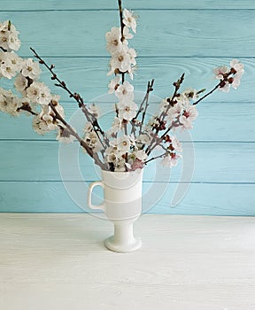 Cherry blossom branch floral decorative beautiful in a vase on a colored wooden background, spring,bouquet