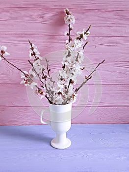 Cherry blossom branch rustic beautiful in a vase on a colored wooden background, spring,