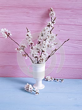 Cherry blossom branch rustic decor beautiful in a vase on a colored wooden background, spring,