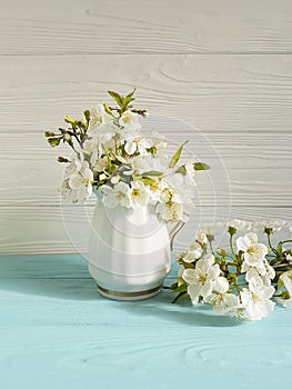 Cherry blossom branch season vase on a colorful wooden background