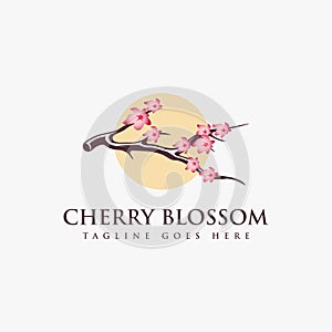 Cherry Blossom branch tree logo vector