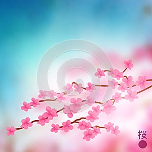 Cherry Blossom Branch Vector