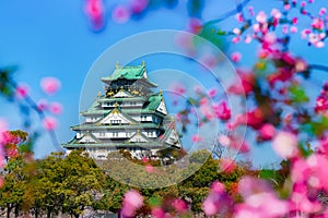 .Cherry blossom branches with blurred pink flowers in the foreground and Osaka Castle, Japan