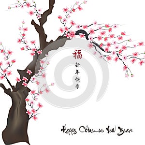 cherry blossom for Chinese new year and lunar new year