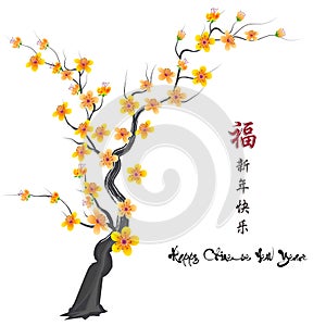 cherry blossom for Chinese new year and lunar new year