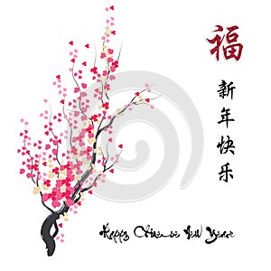 cherry blossom for Chinese new year and lunar new year