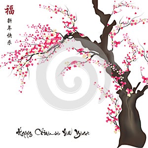 cherry blossom for Chinese new year and lunar new year