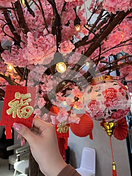 Cherry Blossom in Chinesse new year