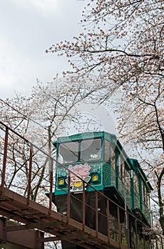 Cherry Blossom Festival at Funaoka Castle Ruin Park,Shibata,Miyagi,Tohoku,Japan on April12,2017:Slope car passing sakura tunnel