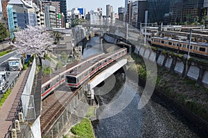 Cherry Blossom floating in a river with train tunnel in Tokyo, Japan during Spring