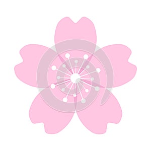 Cherry blossom flower or sakura flat icon. Sakura icon. Pink cherry flower. Vector illustration