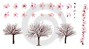 Cherry blossom flower and tree set pink white