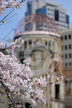 Cherry blossom in front of the A-Bomb Dome, Hiroshima, Japan