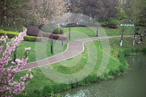 Cherry Blossom Garden Path in Spring