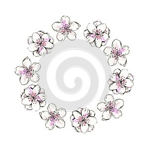 Cherry blossom hand drawn, flowers circul frame. Pink sakura wreath. Watercolor illustration for wedding cards