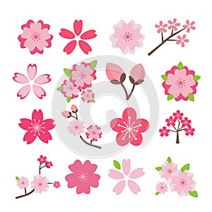 Cherry blossom icon set