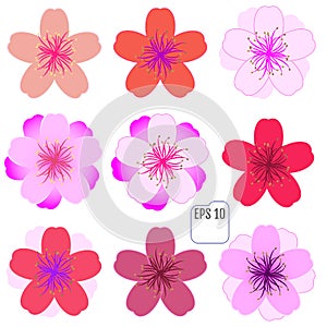 Cherry blossom icon set.