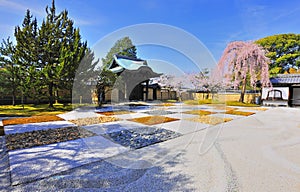 cherry blossom and Japanese Garden in kyoto