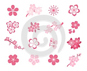 Cereza flor japonés conjunto compuesto por iconos 