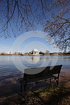 Cherry Blossom with memorial background and tidal basin