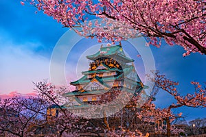 Cherry blossom at Osaka castle Japan at night