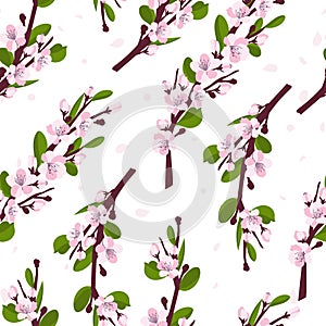 Cherry blossom pattern. Branches with cherry blossoms isolated on a white background. Japanese sakura. Vector