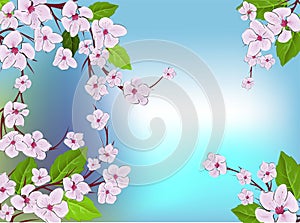 Cherry blossom pattern. Modern abstract pink sakura design template on blue backdrop. Vintage japanese vector template with pink