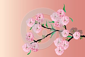 Cherry blossom pink flowers branch art decor