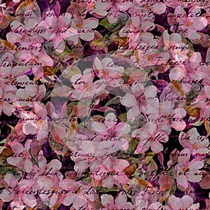 Cherry blossom, pink flowers, hand written text. Black background. Mysterious seamless pattern