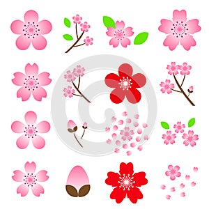 Cherry blossom Sakura icon set isolated on white background