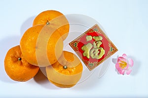 Cherry blossom, always significant to Chinese New Year celebrations. Decorated with oranges, cherry blossom, and the word Fook