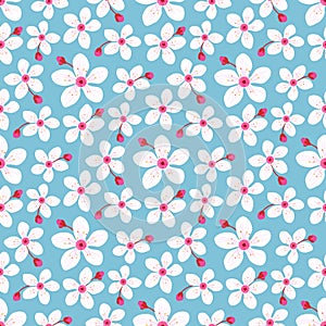 Cherry blossom spring seamless pattern, cute pink flower print on blue background