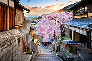 Cherry blossom in springtime at the historic Higashiyama district, Kyoto in Japan.