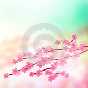 Cherry Blossom Tree Branch