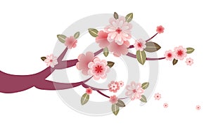 Cherry blossom tree branch artwork